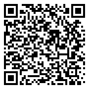 QR 码