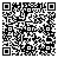 QR 码